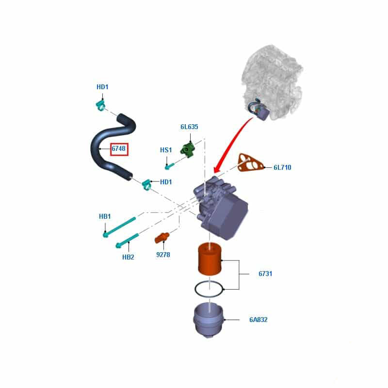6C1Q8N039AC Oil Cooler Hose To Suit Ford Transit VM / VO 2.2L FWD