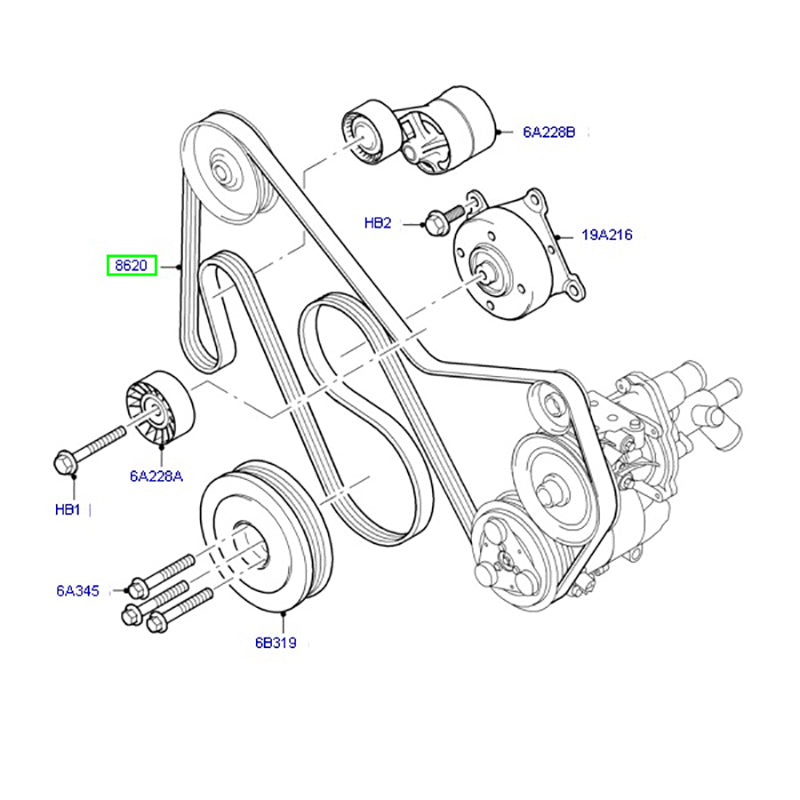 Genuine Ford Drive Belt / Fan Belt to Suit Ford Transit VM 2.4L 2006 - 2014 6C1Q6C301HC / 1440434