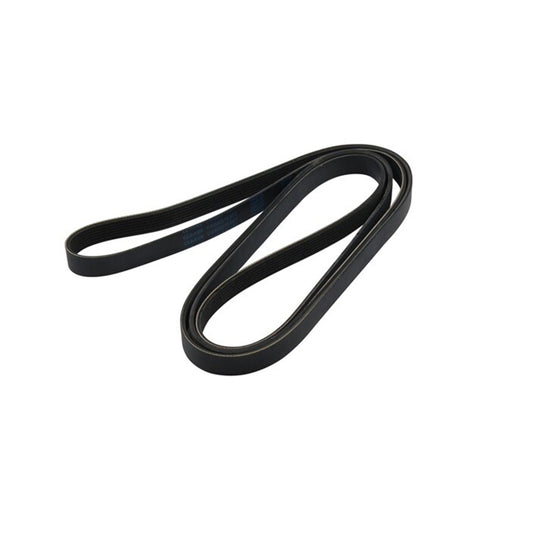 CC1Q6C301FA  Drive Belt To Suit 2.2 155PS RWD Ford Transit VM 1750991