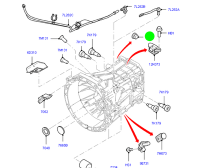 W702545S306 / 4123970 Ford Gearbox Plug